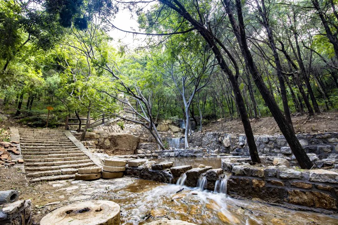 當天,所有女士,免門票,免票景區:大宋不夜城,臘山國家森林公園,戴村壩