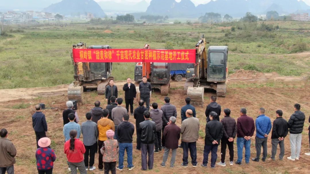 桐岭镇:春耕助农在"蔗"里启动_澎湃号·政务_澎湃新闻-the paper