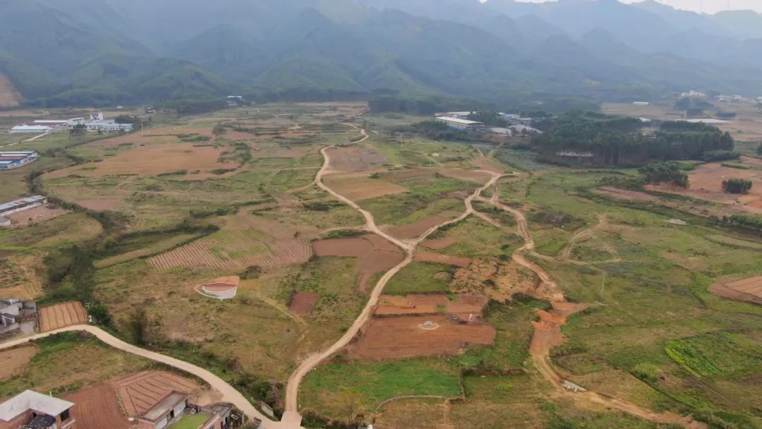 桐岭镇:春耕助农在"蔗"里启动_澎湃号·政务_澎湃新闻-the paper