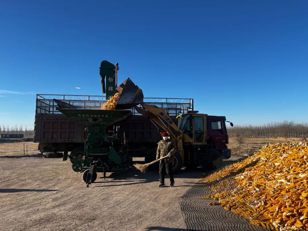 突泉县:科学储粮 守好百姓粮仓_澎湃号·政务_澎湃新闻-the paper