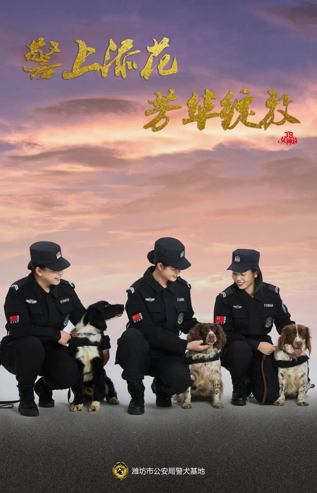 犬王的训导员图片