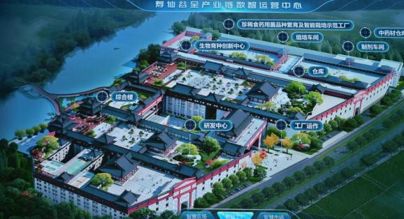 【孢子粉武义造】"全产业链"赋能中医药"走向世界"