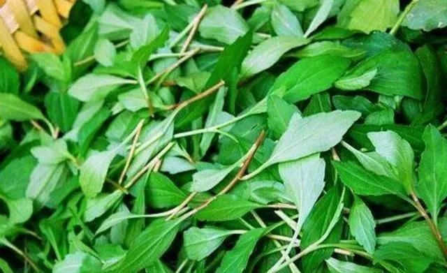 三江口丨那口春之鲜