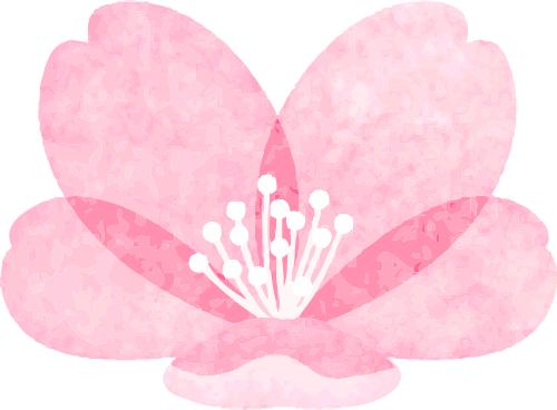 传承长江精神 绽放巾帼力量——内江市市中区人民法院开展庆"三八"节