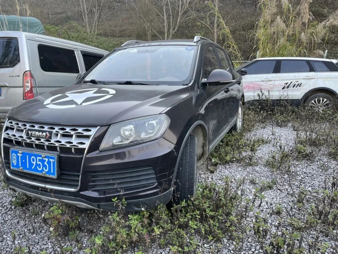 车牌号粤t1953t野马牌小型普通客车,初次登记日期2017-5-17,机动车