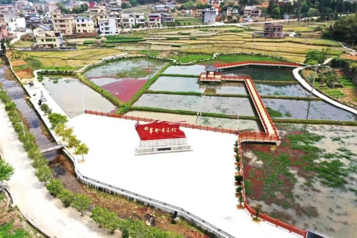 【在河源加快实现绿色崛起中奋力推进龙川全面振兴74】立"竹"资源