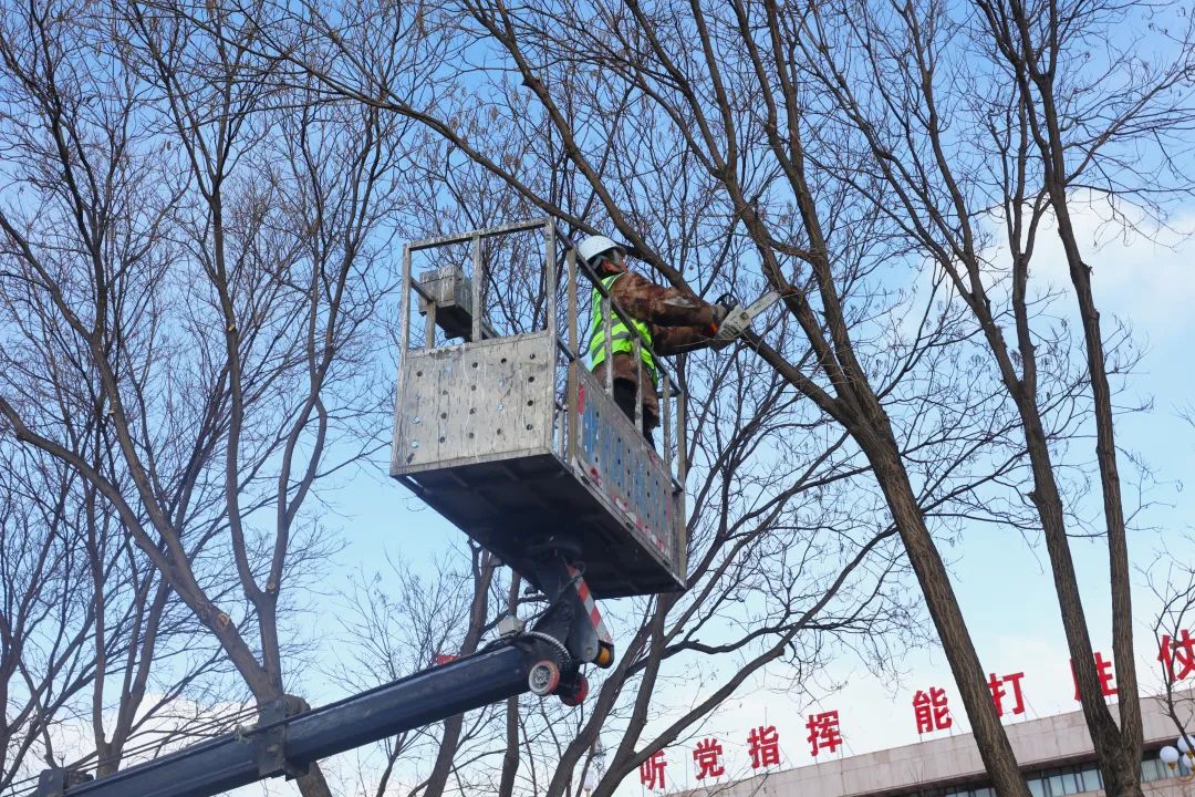 物业修剪树木的叫什么(物业对树木进行修剪需要对业主进行意见征询吗)