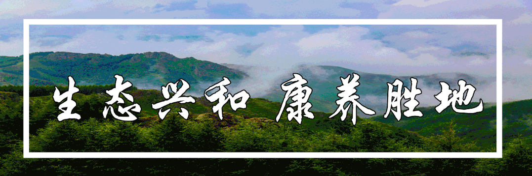 市民委系统信息工作先进个人的的决定》《自治区第九批民族团结进