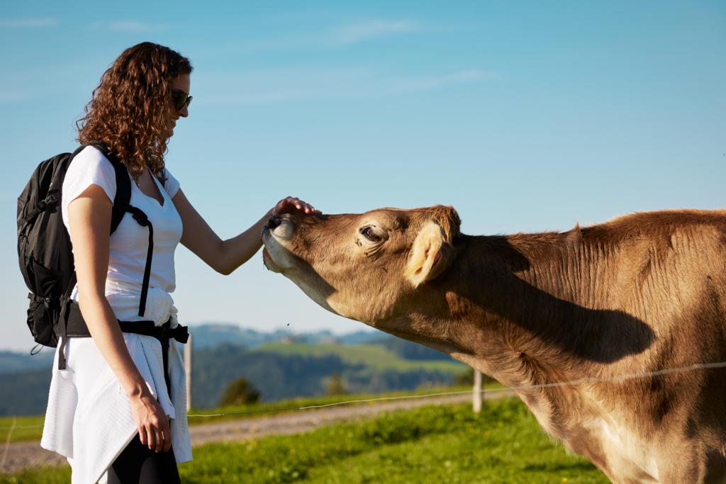 澎湃号·政务_澎湃新闻-the paper