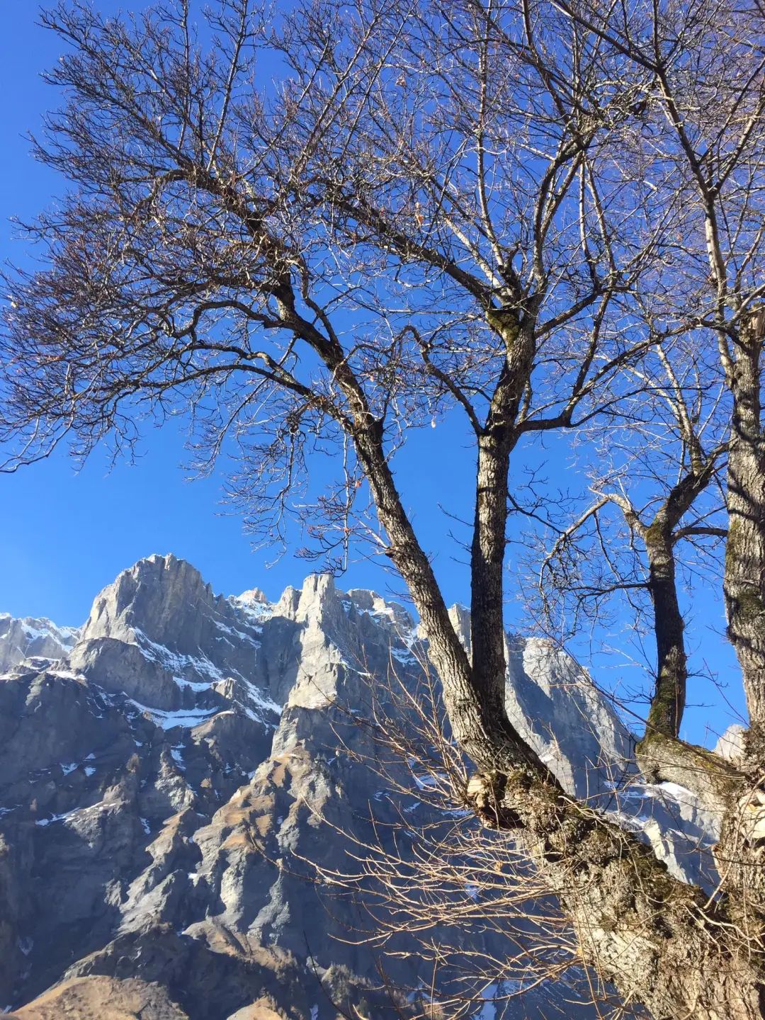 瑞士温泉乡深山尽头的汤泉桃花源