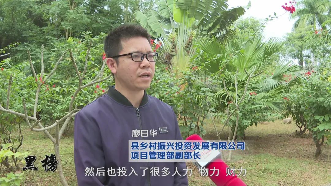 《聚焦》"回头看" 对问题"穷追不舍"_澎湃号·政