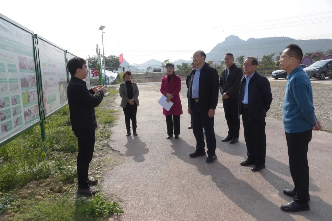 韦平到合山调研人大党建工作_澎湃号·政务_澎湃新闻The Paper