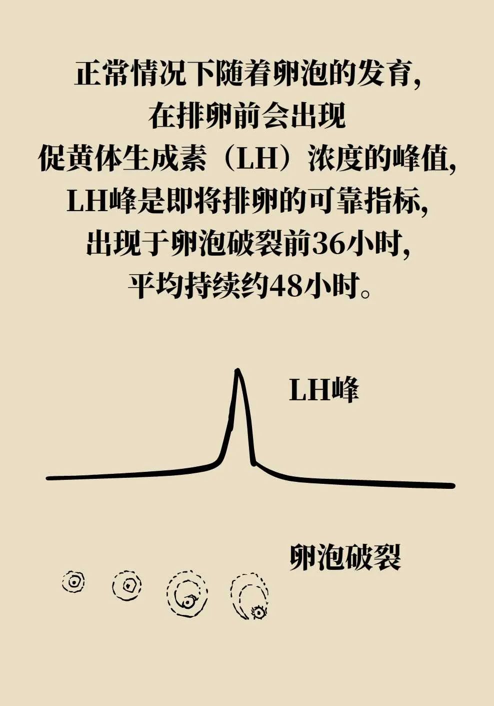 还不会正确监测排卵?来,手把手教您_澎湃号·湃客_澎湃新闻-the paper