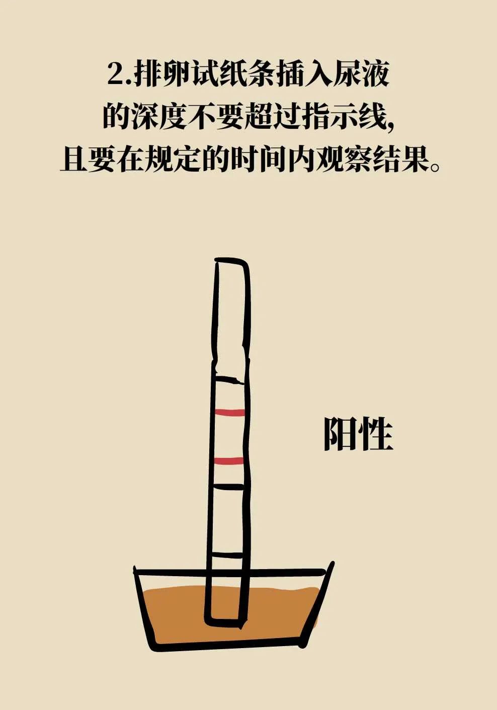 536.jpg