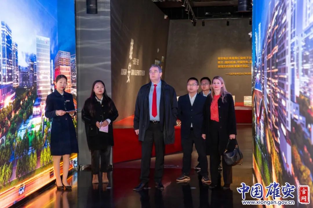 新区党群工作部副部长,人才发展服务中心主任张宝宝