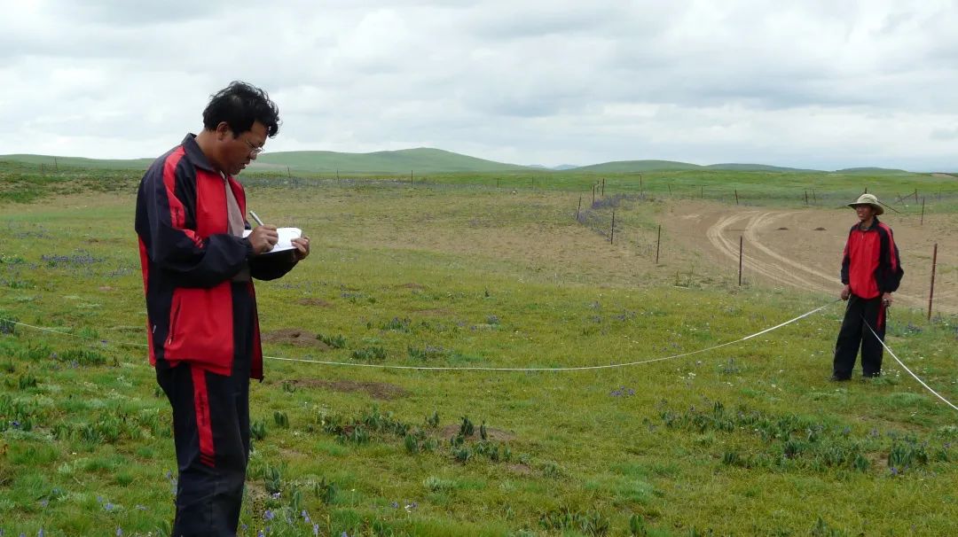 与沙"鏖战"40载,植此青绿锁"黄龙"_澎湃号·媒体_澎湃新闻-the paper