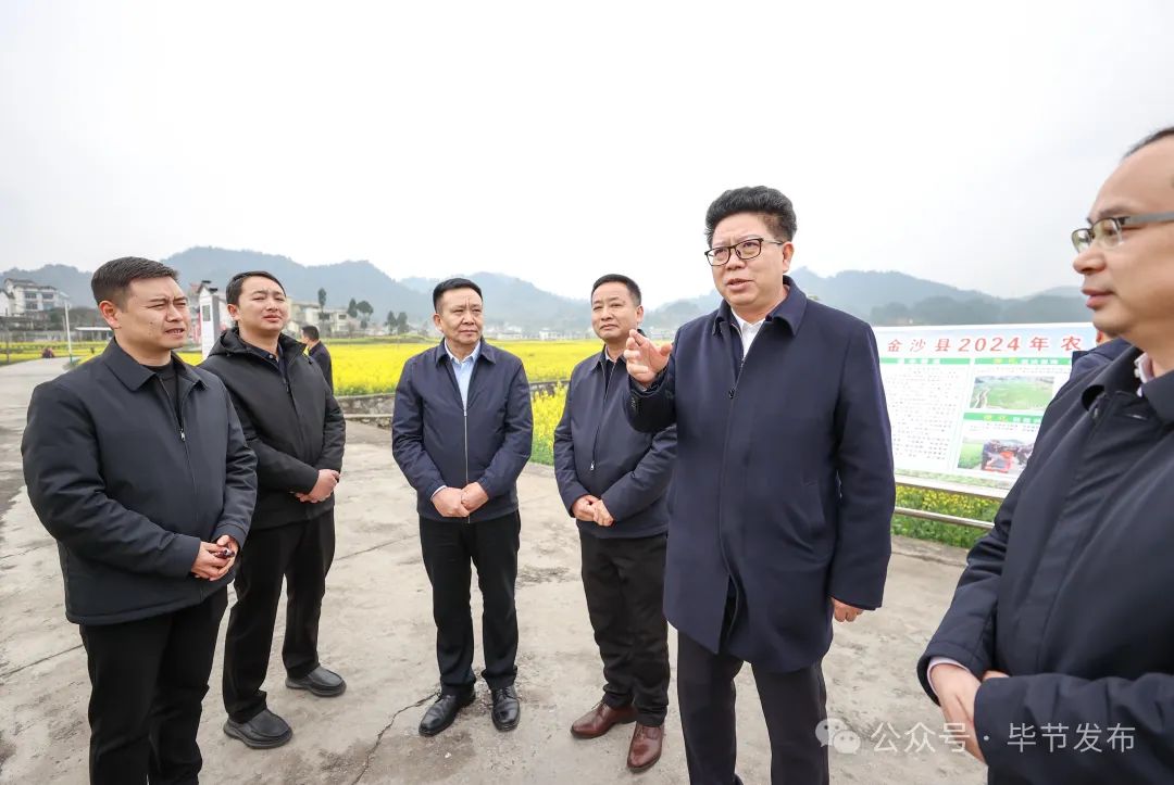 吴胜华到百里杜鹃管理区和金沙县调研_澎湃号·政务_澎湃新闻-the pap