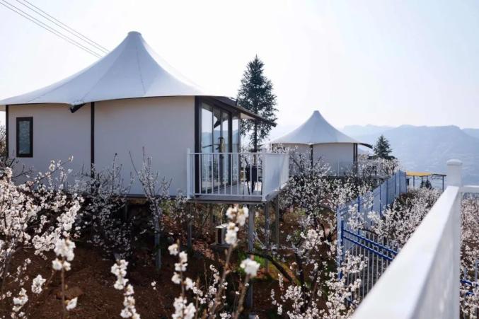 享趣毕节丨来这个民宿,躺在花海中入梦_澎湃号·政务_澎湃新闻-the