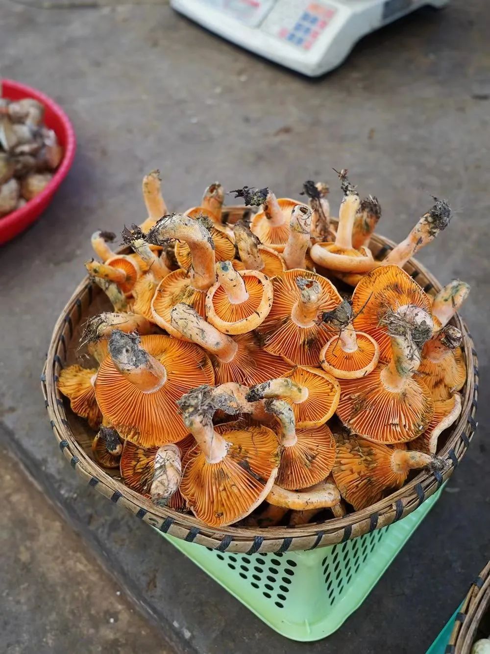 拿命吃饭的云南人,算你狠_澎湃号·湃客_澎湃新闻-the paper