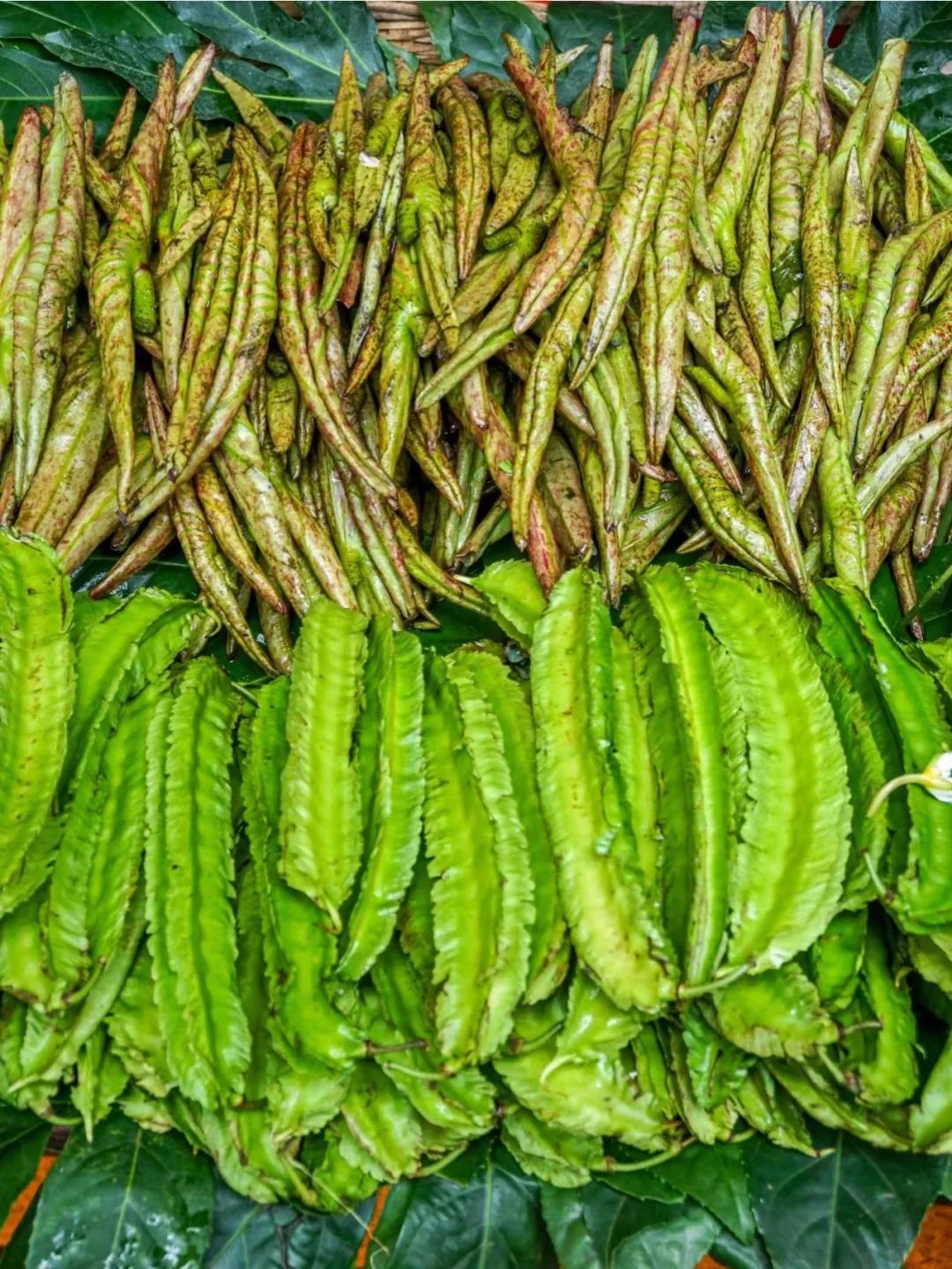 拿命吃饭的云南人,算你狠_澎湃号·湃客_澎湃新闻-the paper