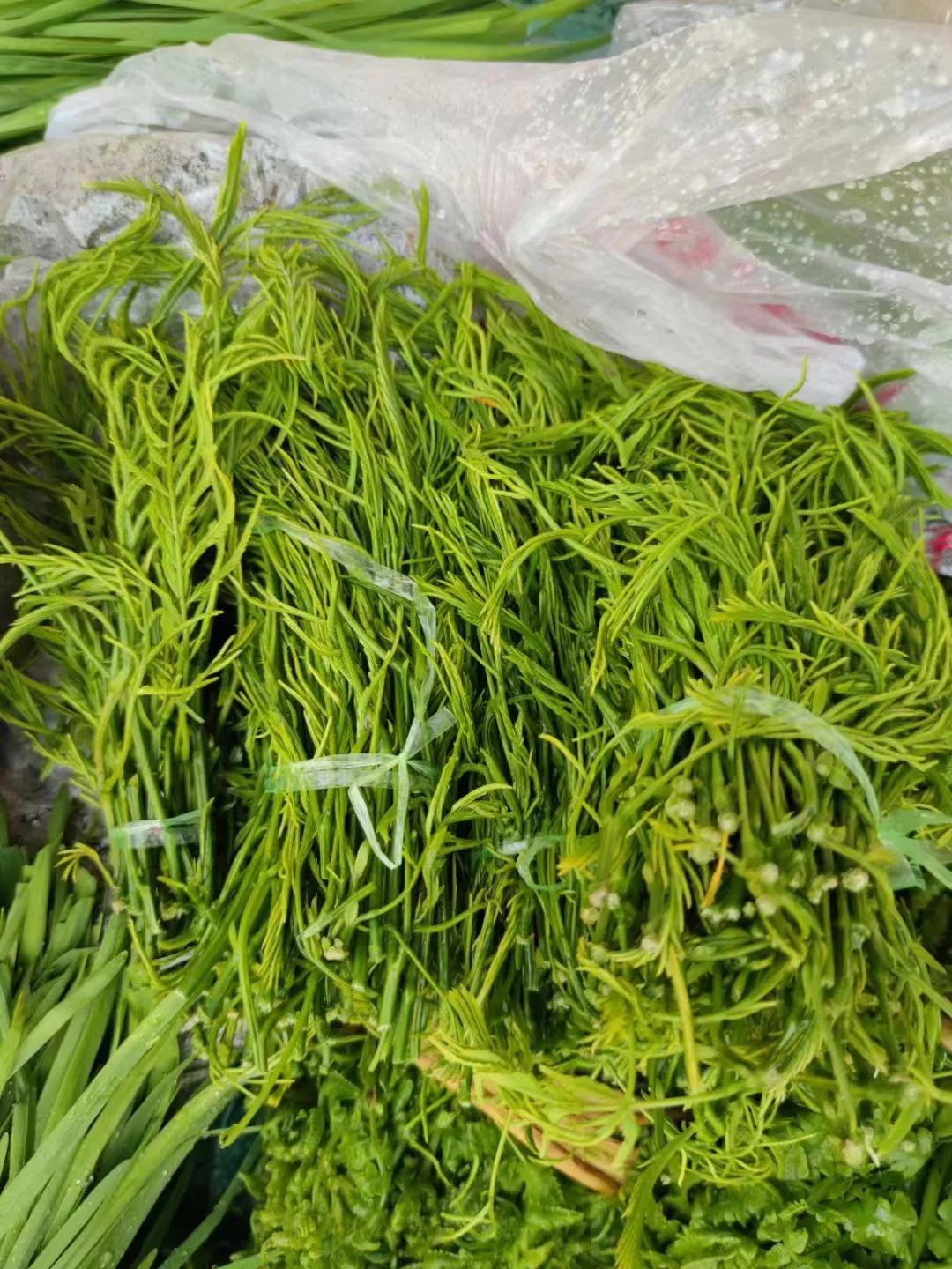 拿命吃饭的云南人,算你狠_澎湃号·湃客_澎湃新闻-the paper