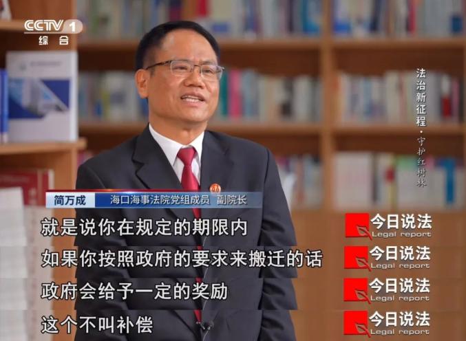 【今日说法】守护红树林_澎湃号·政务_澎湃新闻-the paper