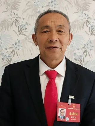 重庆市巫山县竹贤乡下庄村党支部书记毛相林——司法助力提升农村依法