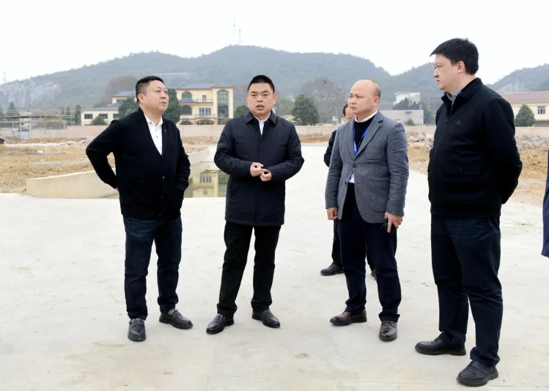 【政务】唐友波调研新型工业化工作