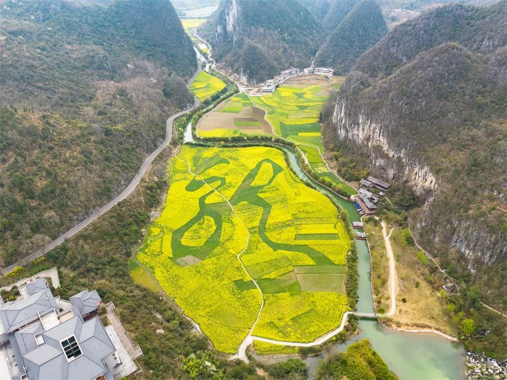【一见倾心·安顺】安顺龙宫:一沐春风万顷黄_澎湃号·政务_澎湃新闻
