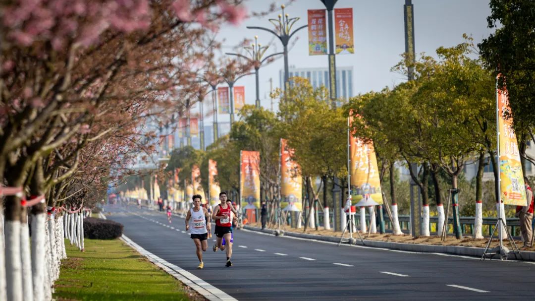 金花跑 真美好——安义花海再次拥抱马拉松_澎湃号·政务_澎湃新闻