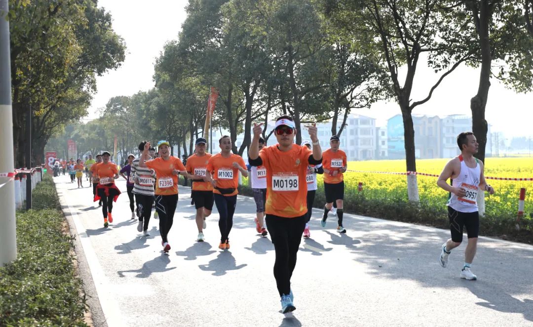 金花跑 真美好——安义花海再次拥抱马拉松_澎湃号·政务_澎湃新闻