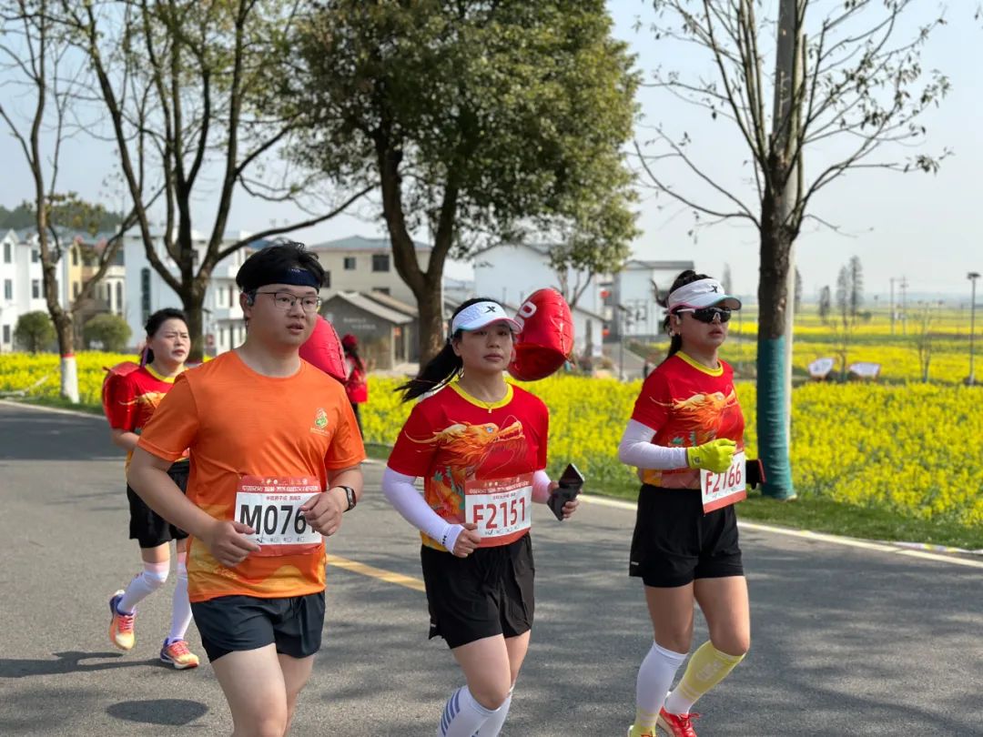 金花跑 真美好——安义花海再次拥抱马拉松_澎湃号·政务_澎湃新闻