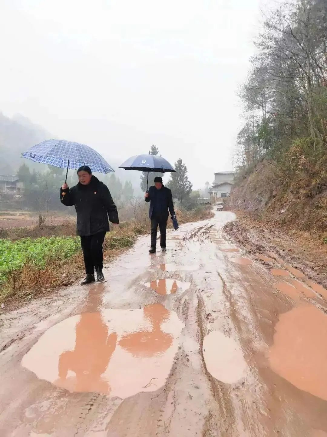 03 陈萧她不仅是法律的执行者,更是当事人心中的明灯,为他们指引前进