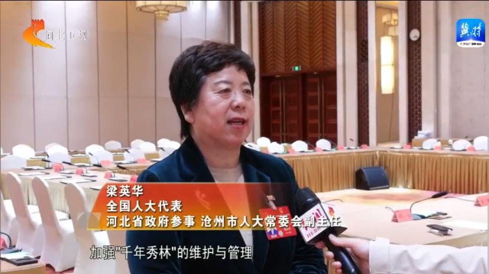 全国人大代表 河北省政府参事 沧州市人大常委会副主任 梁英华:巩固