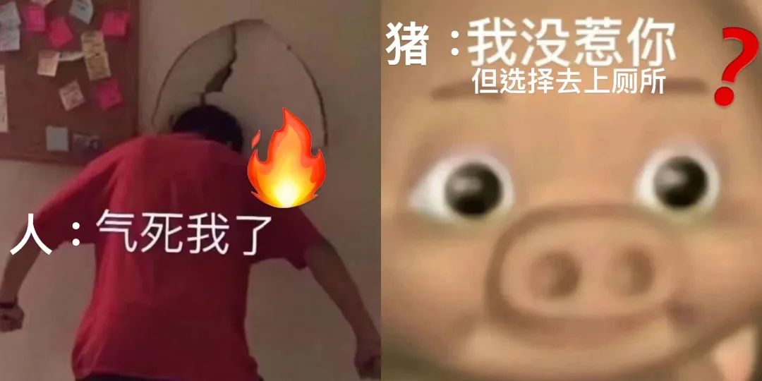 澎湃号·湃客_澎湃新闻-the paper