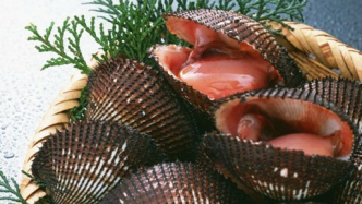 地標(biāo)日歷 | 壽光毛蚶