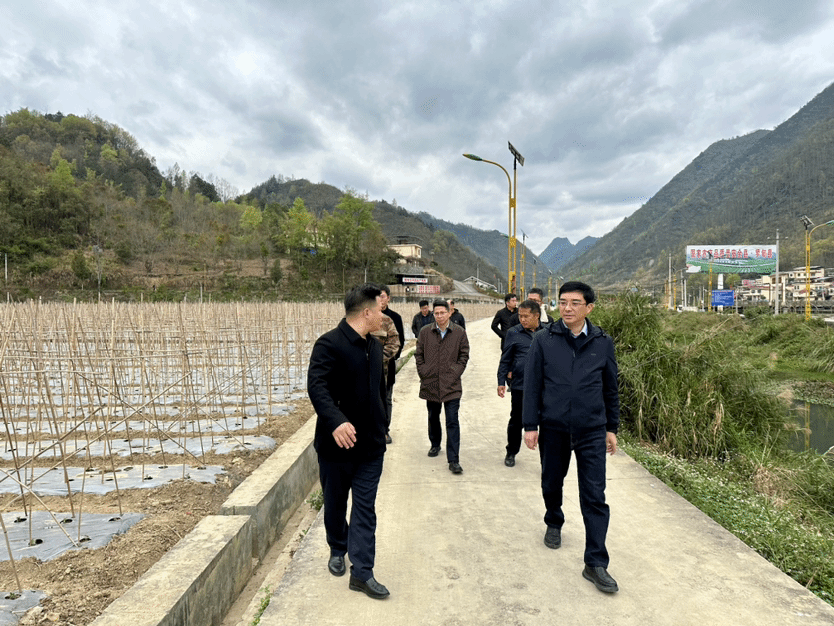 观山湖区赴罗甸县逢亭镇开展协作助力乡村振兴工作_澎湃号·政务_澎湃