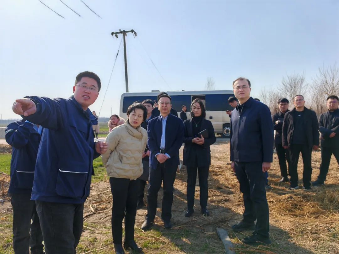 冯涛就省级现代农业产业园区建设情况到中韩庄镇调研