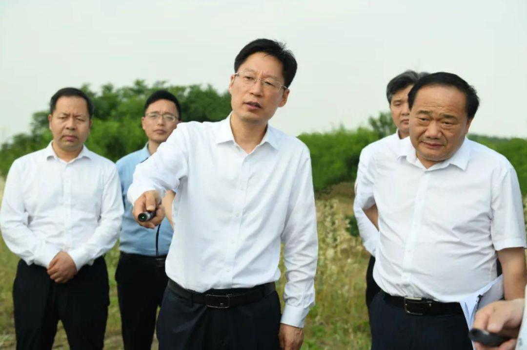 投资315亿元,总里程234公里的阜淮高速安徽段,合周高速寿颍段和颍临段