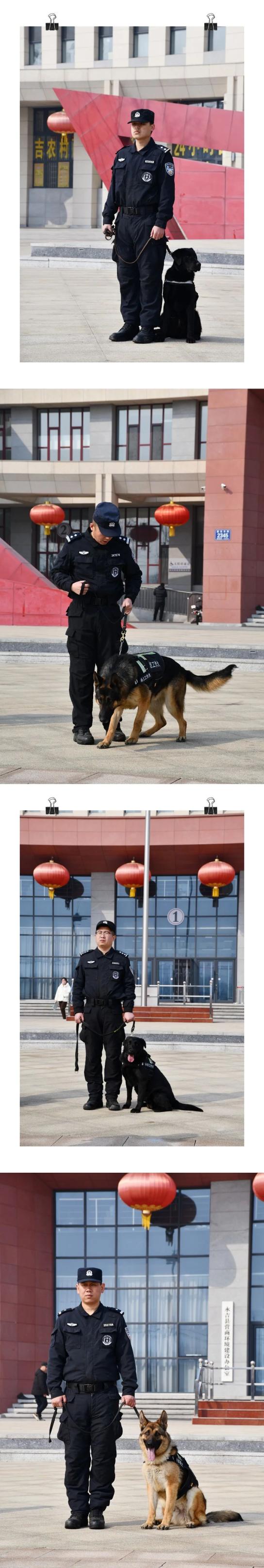 【向人民汇报】巡逻警犬已上岗!永吉公安街面巡防再添新战力!