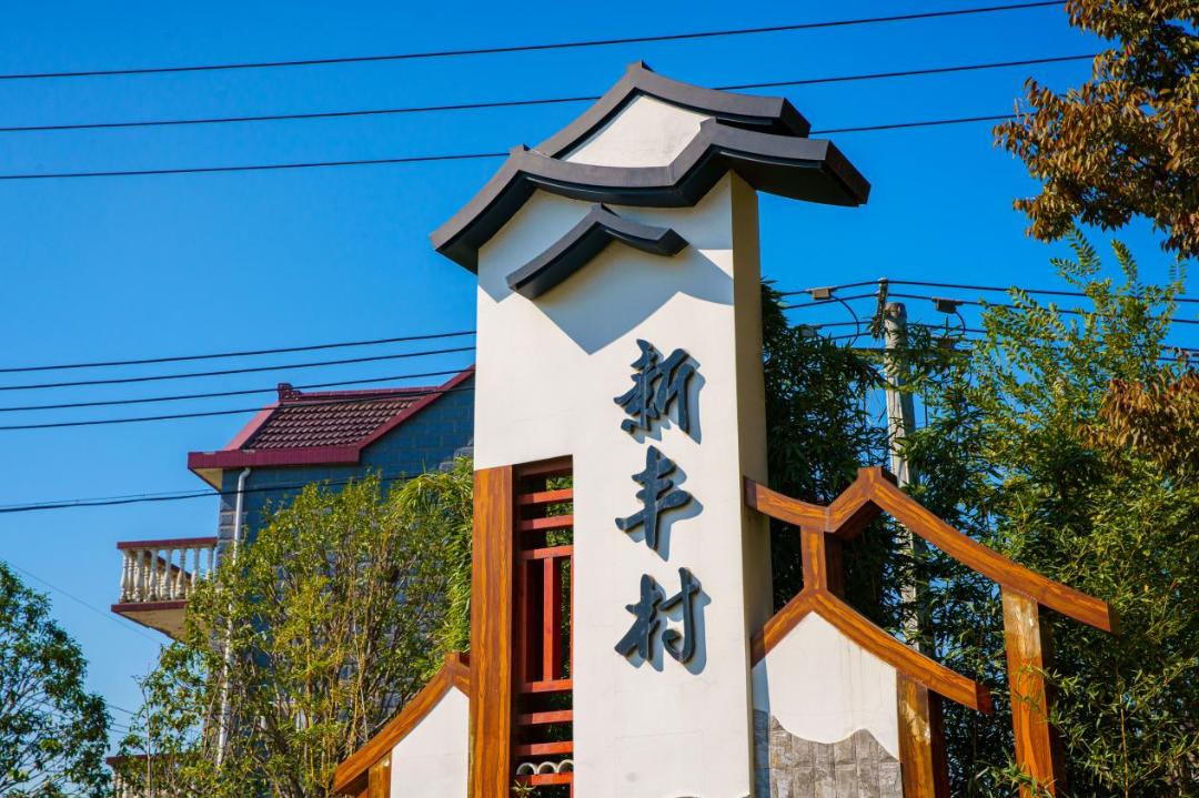 等我老了,就回新丰这样生活……_澎湃号·政务_澎湃新闻-the paper