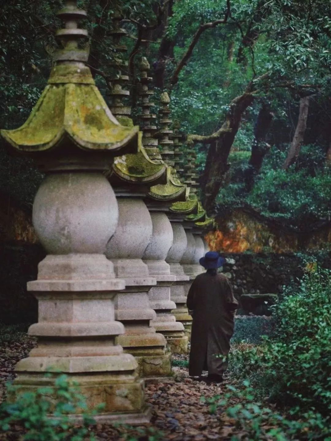浙江春日最仙气的小城,0元逛千年古寺,粉紫花海开满山_澎湃号·湃客