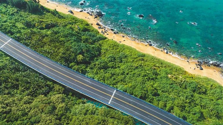 一路琼树入眼帘!海南这几条公路自带绝美景色,自驾走起
