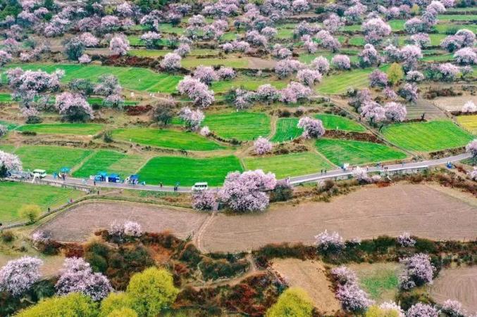 这些亮点不能错过!_澎湃号·政务_澎湃新闻-the paper