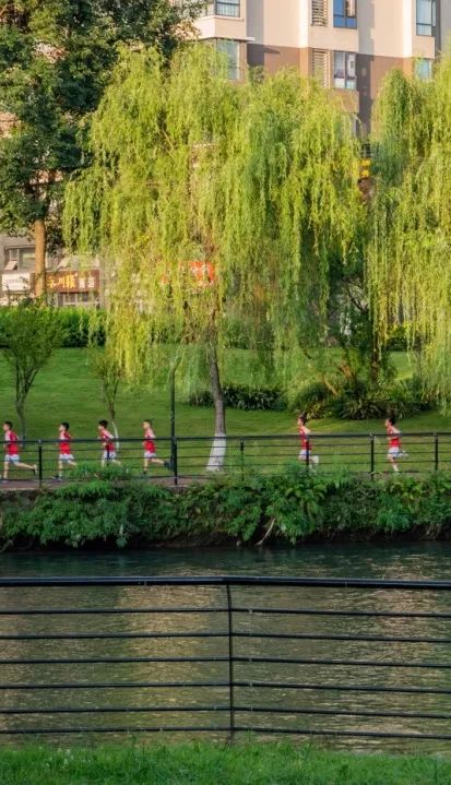 人们带来春的气息;汪家湾花海里张瓣吐蕊的油菜花给大地披上第一重娇
