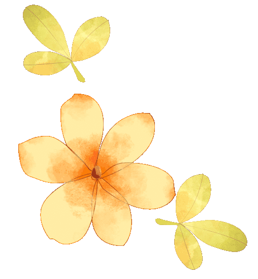 龙翔大道——斐然生态园组织周边村民,商户,沿龙翔大道油菜花观景区摆