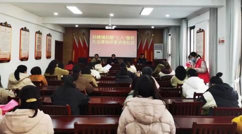 环峰镇开展建设法治社会巾帼在行动三八维权月讲座