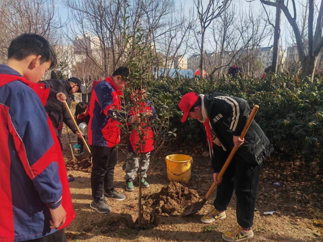 植树节活动图片大全图片