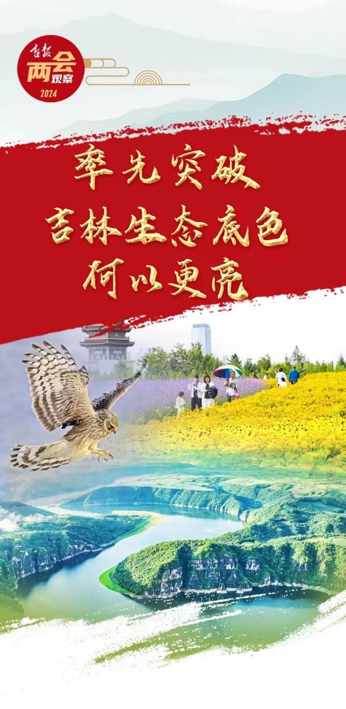 澎湃号·政务_澎湃新闻-the paper