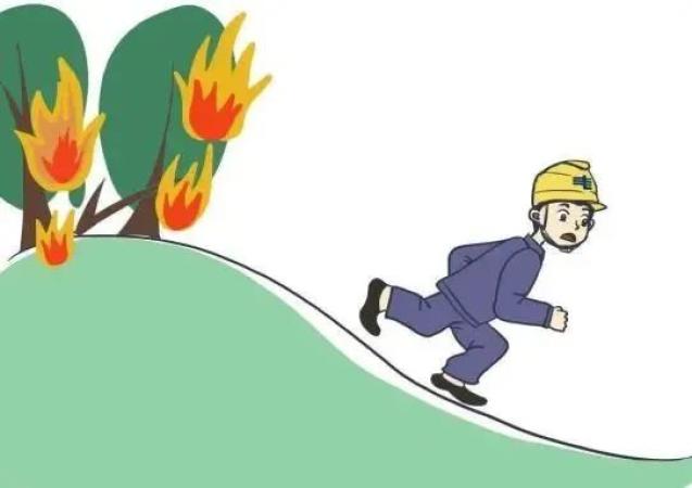 森林防火这些安全知识要牢记!_澎湃号·政务_澎湃新闻-the paper